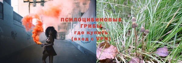 ПСИЛОЦИБИНОВЫЕ ГРИБЫ Алексеевка