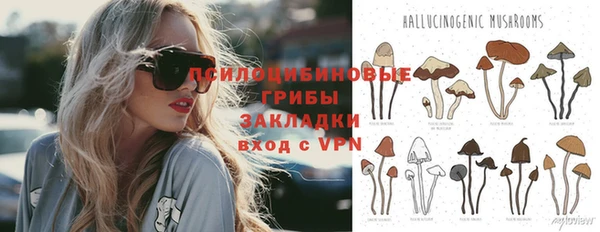 ПСИЛОЦИБИНОВЫЕ ГРИБЫ Алексеевка