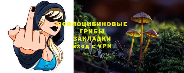 ПСИЛОЦИБИНОВЫЕ ГРИБЫ Алексеевка