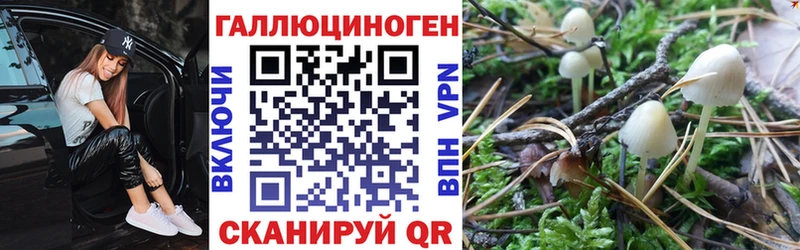Псилоцибиновые грибы Psilocybe  Мещовск 