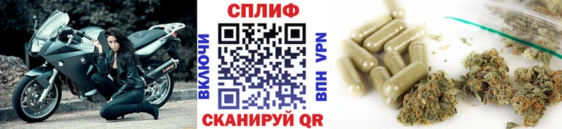 Бошки Шишки семена  Мещовск 